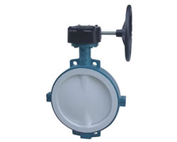 蜗轮对夹式衬氟蝶阀 蜗轮对夹式衬氟蝶阀