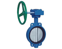 蜗轮对夹式软密封蝶阀 蜗轮对夹式软密封蝶阀